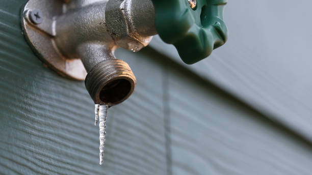 Best Plumbing Inspection Services  in Benton Heights, MI